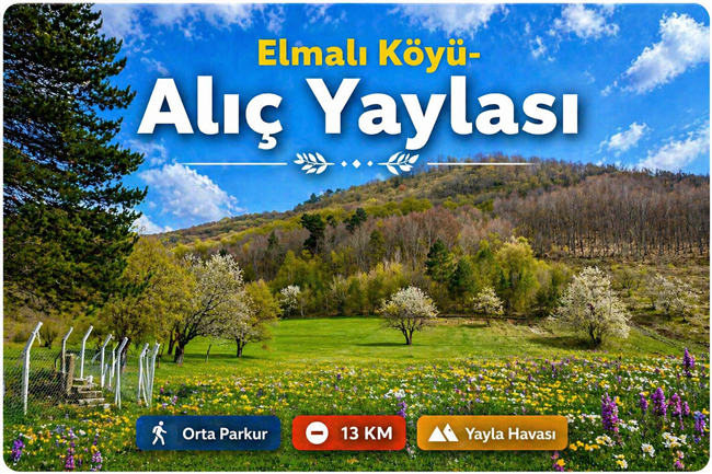 ELMALI KÖYÜ  ALIÇ YAYLASI SPORTİF DOĞA YÜRÜYÜŞÜ